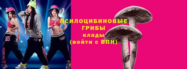 мдпв Навашино